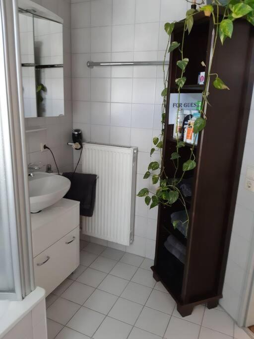 Tolle Wohnung In Zentraler Lage In נוי-אולם מראה חיצוני תמונה