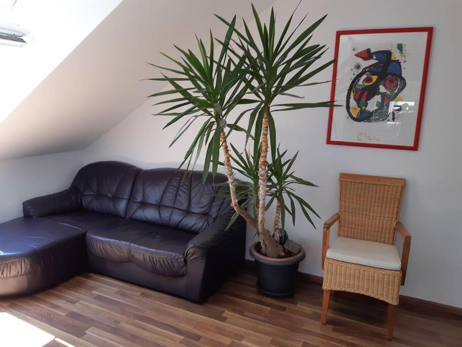 Tolle Wohnung In Zentraler Lage In נוי-אולם מראה חיצוני תמונה